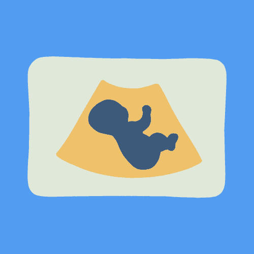 Background for 孕产保障