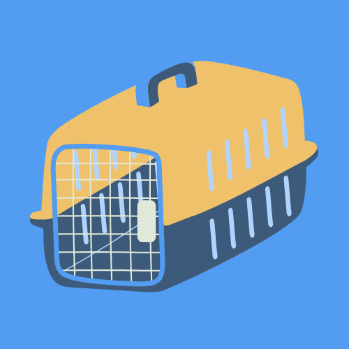 Background for Return of Pet