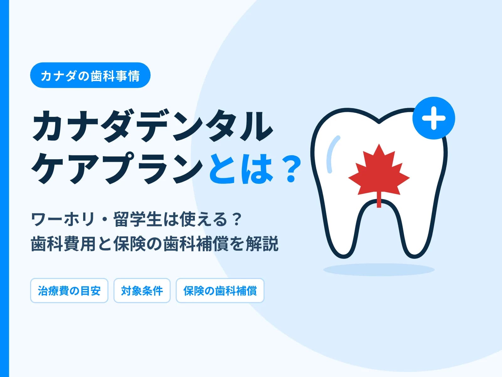 カナダデンタルケアプランとは？ワーホリ・留学生向け解説