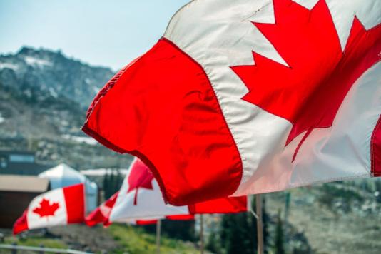 A row of Canadian flags wave in the breeze.